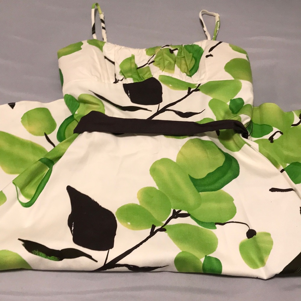 Gorgeous✨A.P.N.Y✨Green, Brown, and White Casual Dress SIZE: 4